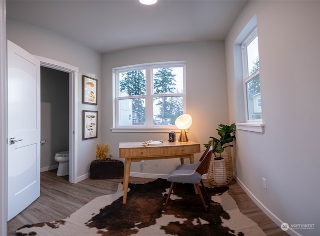 office space featuring light hardwood / wood-style flooring and a healthy amount of sunlight