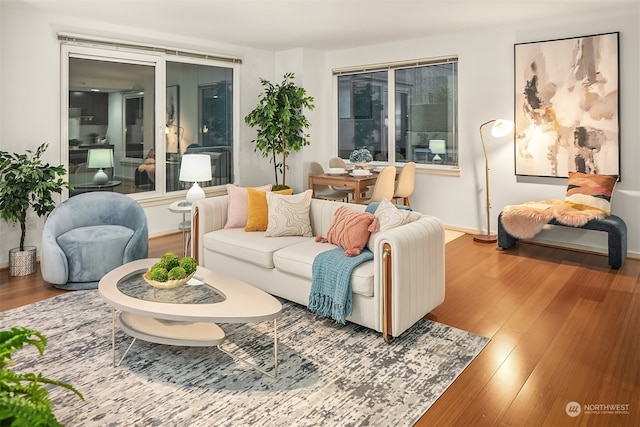 living room featuring hardwood / wood-style floors