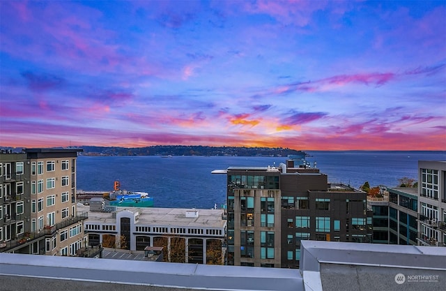 76 Cedar St Unit 405, Seattle, WA 98121 - photo 18