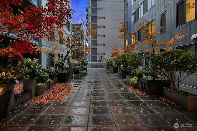 76 Cedar St Unit 405, Seattle, WA 98121 - photo 21