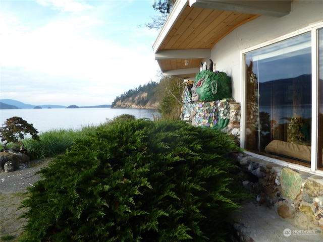 view of home's exterior with a water and mountain view