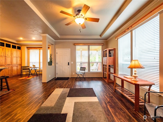 foyer entrance with ceiling fan, dark hardwood / wood-style floors, and a tray ceiling