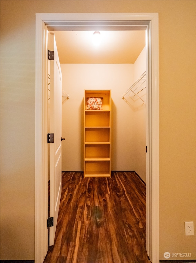 spacious closet featuring dark wood-type flooring