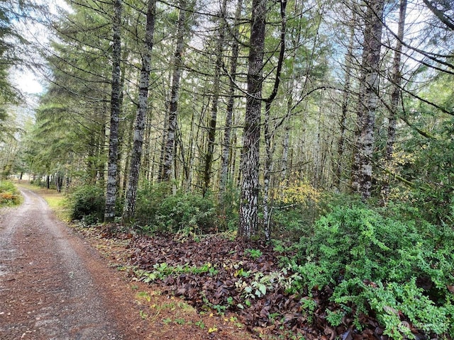 4120 W Shelton-Matlock Rd, Shelton, WA 98584 - view of dirt / gravel road with a view of trees
