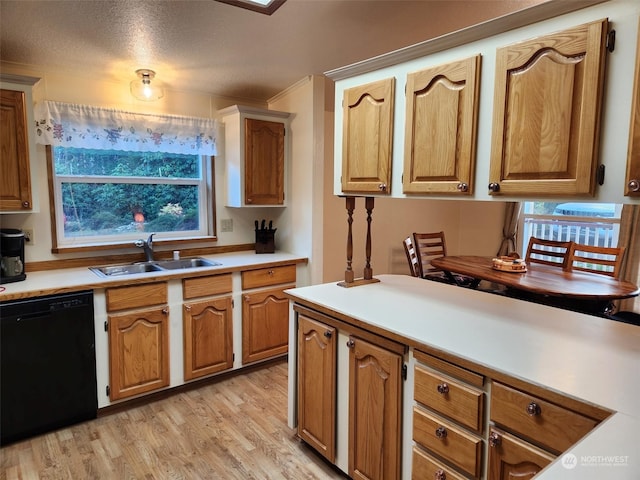 kitchen featuring black dishwasher, a wealth of natural light, sink, and light hardwood / wood-style flooring