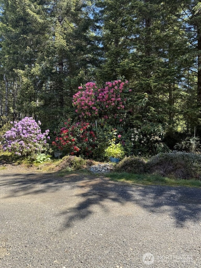 4120 W Shelton-Matlock Rd, Shelton, WA 98584 - view of street