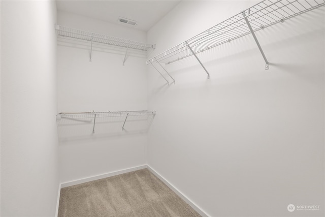 walk in closet with carpet flooring