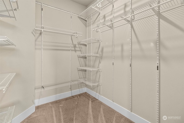 spacious closet with carpet flooring