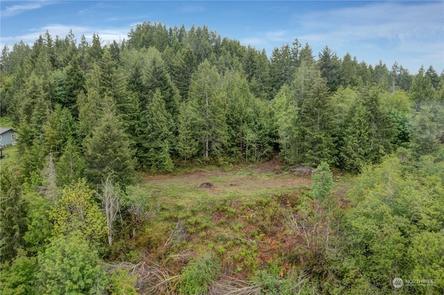 881 E Eagle Point Dr, Shelton WA, 98594 land for sale