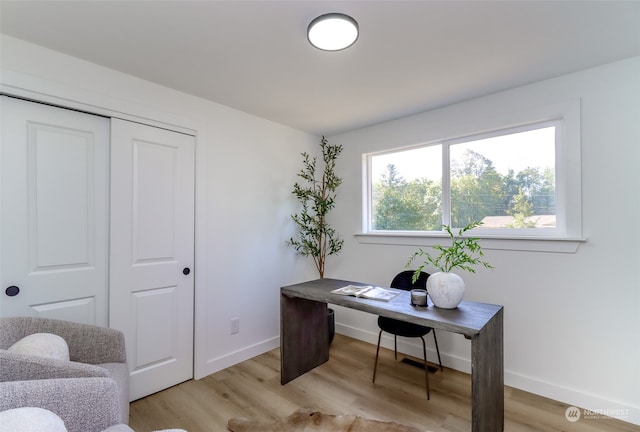 office space featuring light wood-type flooring