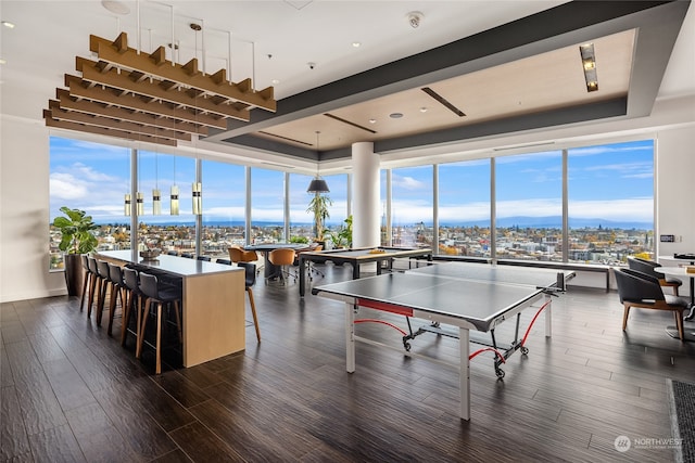 recreation room with dark hardwood / wood-style floors