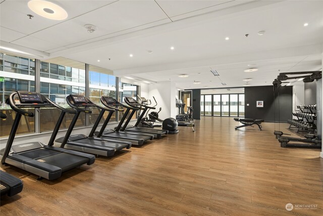 gym featuring hardwood / wood-style flooring and floor to ceiling windows