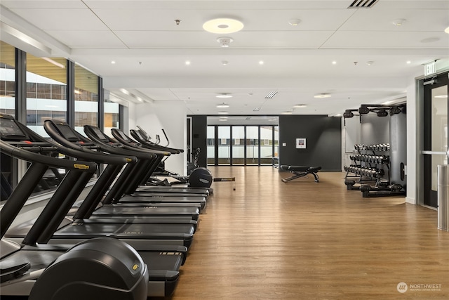 gym featuring wood-type flooring and a wall of windows