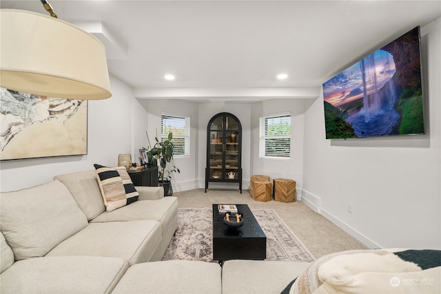 carpeted living room with plenty of natural light