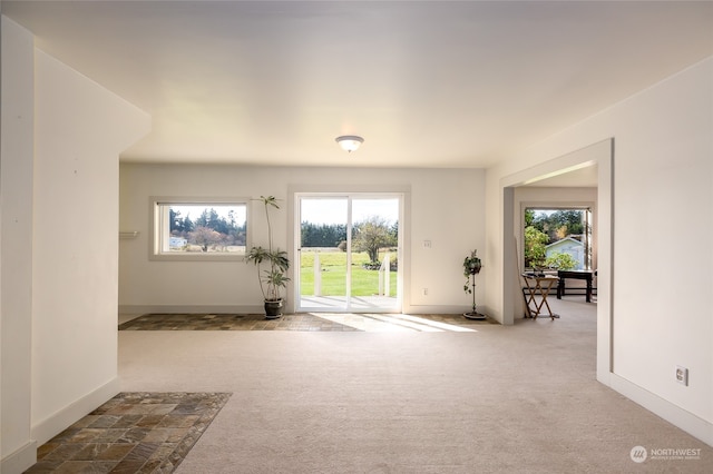 doorway with light colored carpet and a wealth of natural light