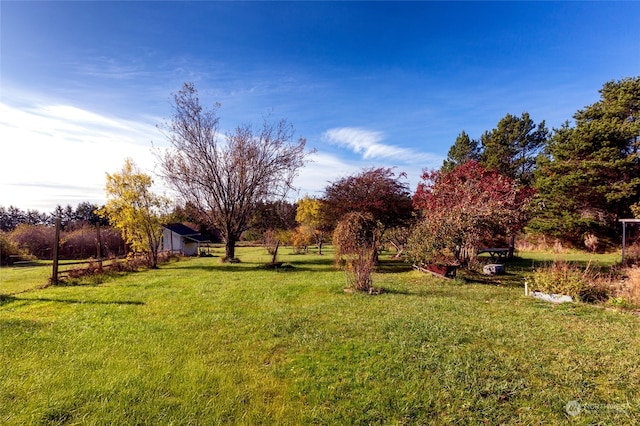 view of yard featuring a rural view