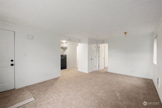 empty room with a textured ceiling and light carpet