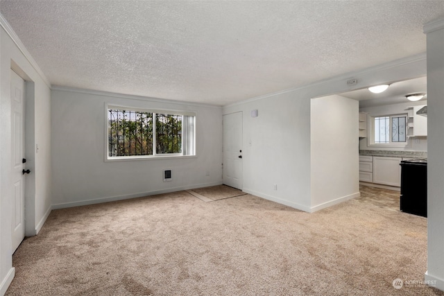 spare room with light carpet, a textured ceiling, and crown molding