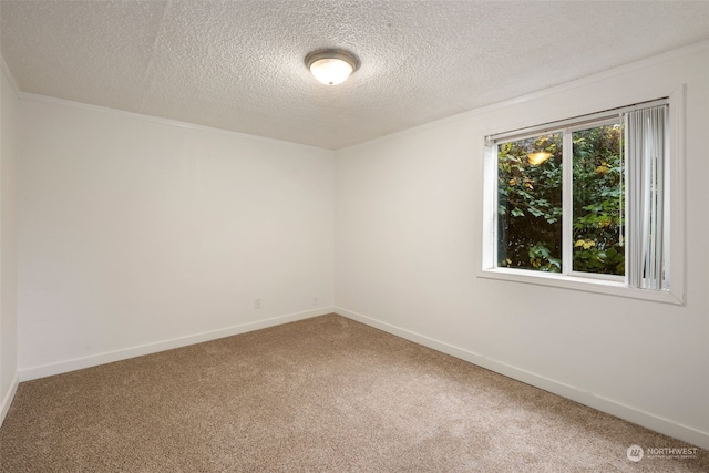 unfurnished room with carpet flooring and a textured ceiling