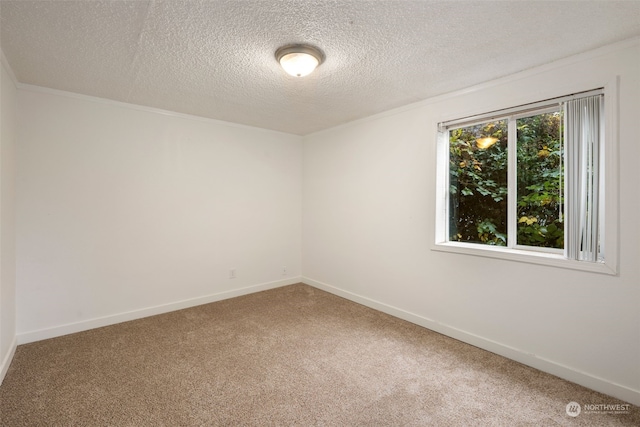 812 29th Ave S, Seattle, WA 98144 - photo 20