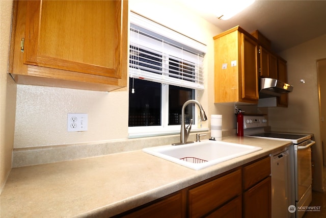 kitchen featuring ventilation hood, sink, and electric range