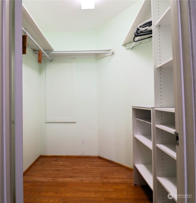 spacious closet with hardwood / wood-style floors