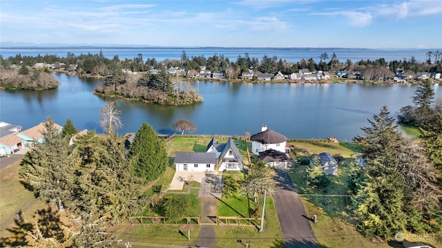 bird's eye view with a water view