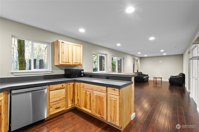 kitchen with kitchen peninsula, plenty of natural light, stainless steel dishwasher, and dark hardwood / wood-style floors