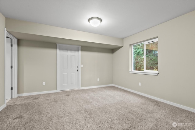 basement featuring carpet floors