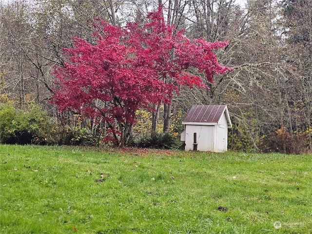 view of yard with a shed