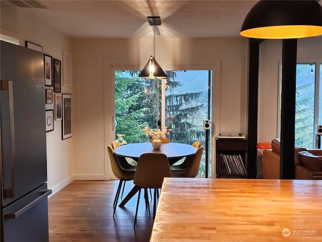 dining room featuring plenty of natural light and hardwood / wood-style flooring