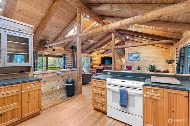 18010 273rd Ave E, Carbonado, WA 98323 - photo 13
