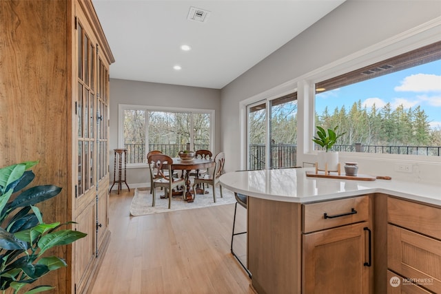 kitchen featuring light wood-type flooring