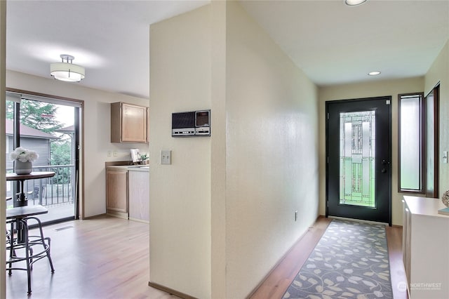 entryway with light wood-type flooring