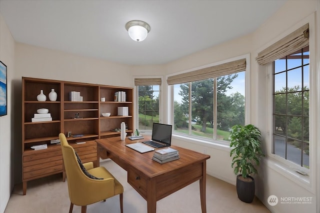 view of carpeted office space