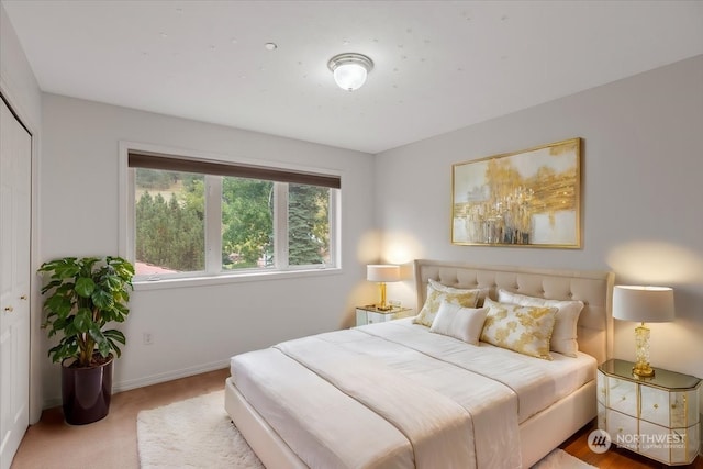 bedroom featuring a closet