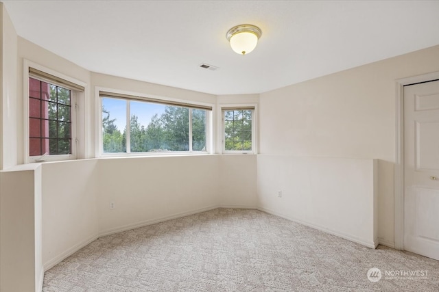 spare room with light colored carpet and a wealth of natural light