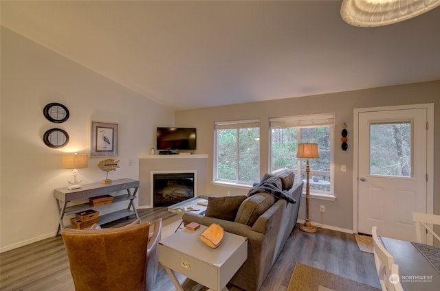 living room featuring vaulted ceiling and hardwood / wood-style flooring