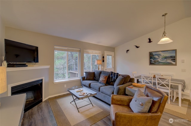 living room with wood-type flooring and lofted ceiling