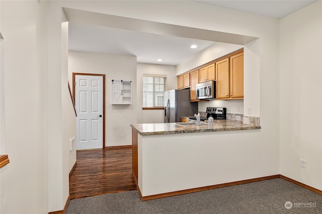 kitchen featuring kitchen peninsula, light brown cabinetry, stainless steel appliances, and dark wood-type flooring