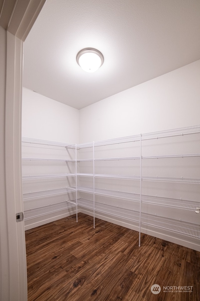 spacious closet with dark hardwood / wood-style floors