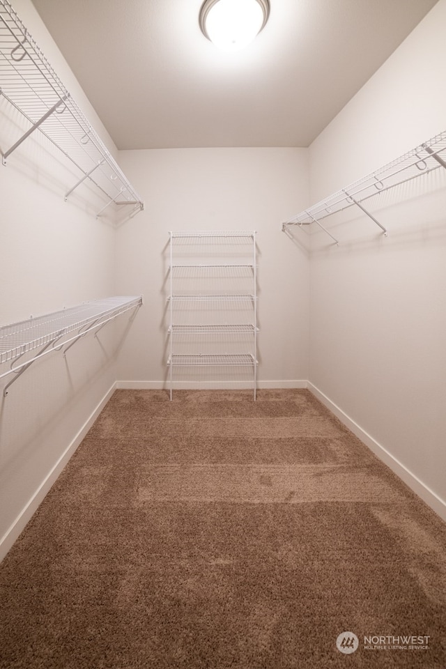 spacious closet with carpet flooring