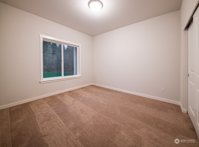 unfurnished bedroom featuring carpet and a closet