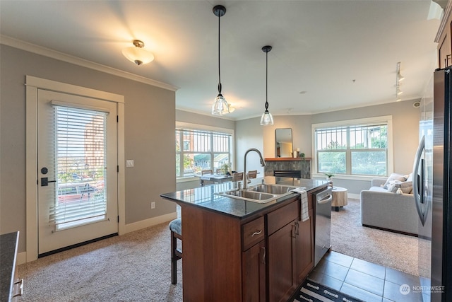 1000 High St Unit 101, Bellingham, WA 98225 - kitchen with a sink, appliances with stainless steel finishes, a stone fireplace, open floor plan, and ornamental molding