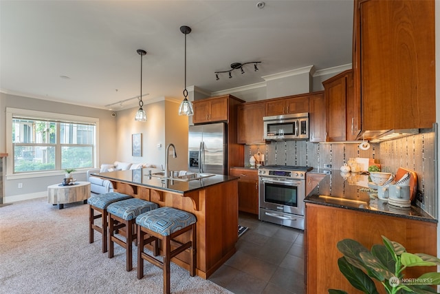 kitchen featuring sink, rail lighting, stainless steel appliances, crown molding, and an island with sink