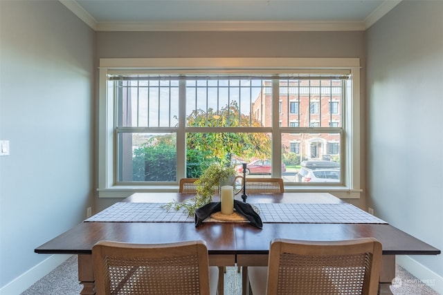 dining area featuring carpet and ornamental molding