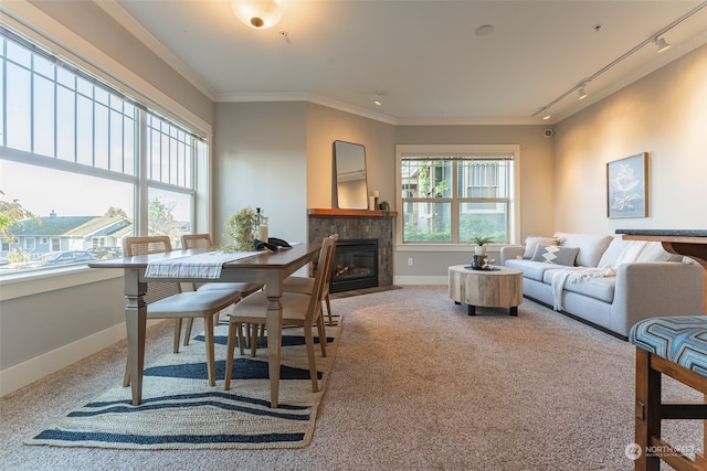 carpeted living room featuring rail lighting, crown molding, and a tile fireplace