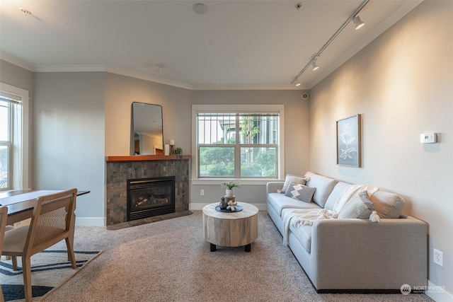 carpeted living room featuring a tiled fireplace, a wealth of natural light, track lighting, and ornamental molding