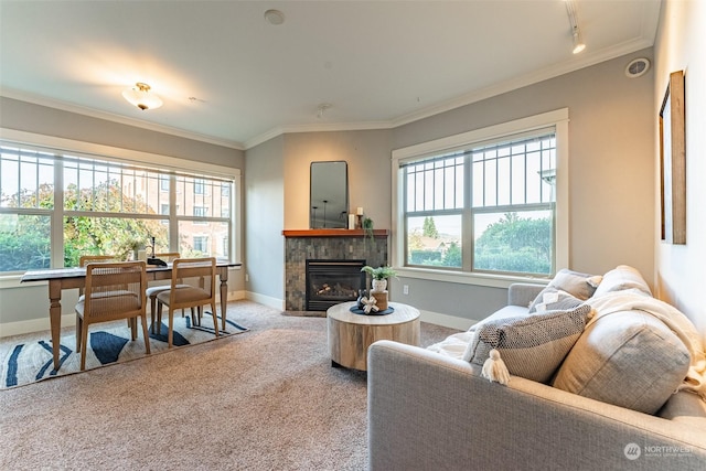 1000 High St Unit 101, Bellingham, WA 98225 - carpeted living area with a tile fireplace, baseboards, and crown molding
