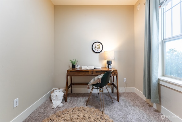 carpeted home office with a healthy amount of sunlight